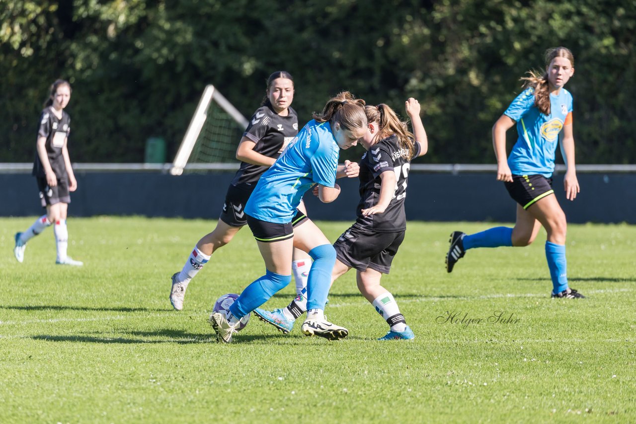 Bild 113 - wBJ SV Henstedt Ulzburg - FSG Oldendorf Itzehoe : Ergebnis: 2:5